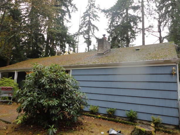 BEFORE-ROOF-CLEANING-SEATTLE